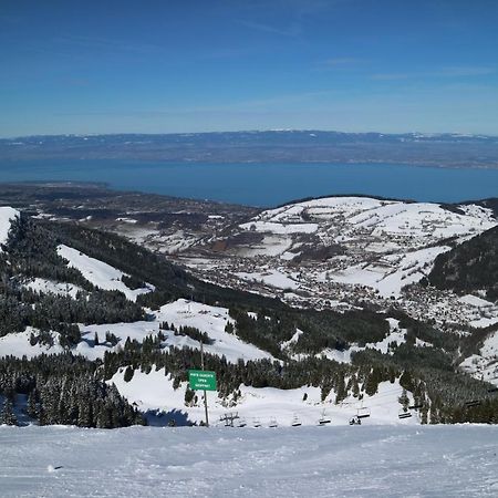 Appartement T2 A Bernex Avec Wifi, Vue Sur Montagne エクステリア 写真