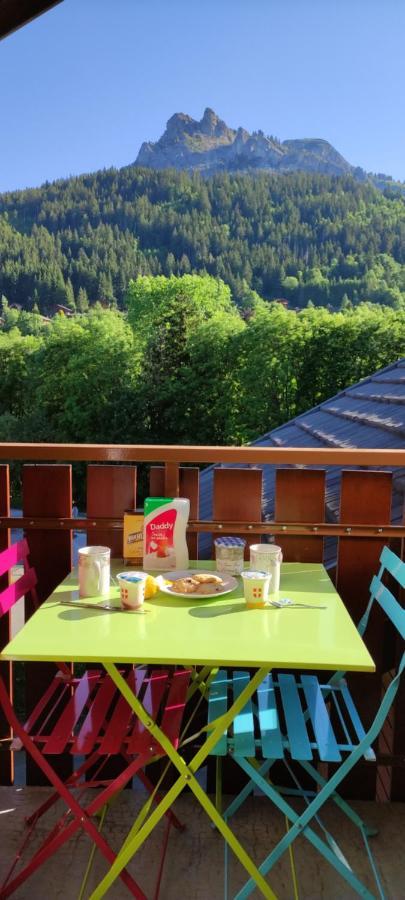 Appartement T2 A Bernex Avec Wifi, Vue Sur Montagne エクステリア 写真