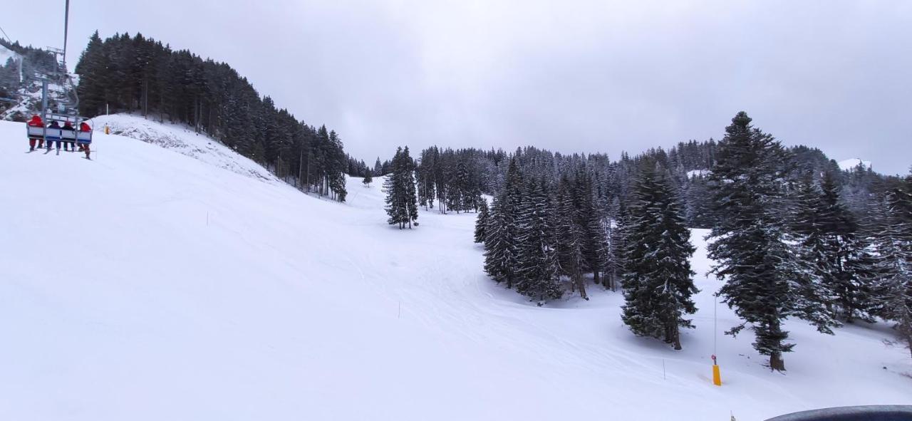 Appartement T2 A Bernex Avec Wifi, Vue Sur Montagne エクステリア 写真