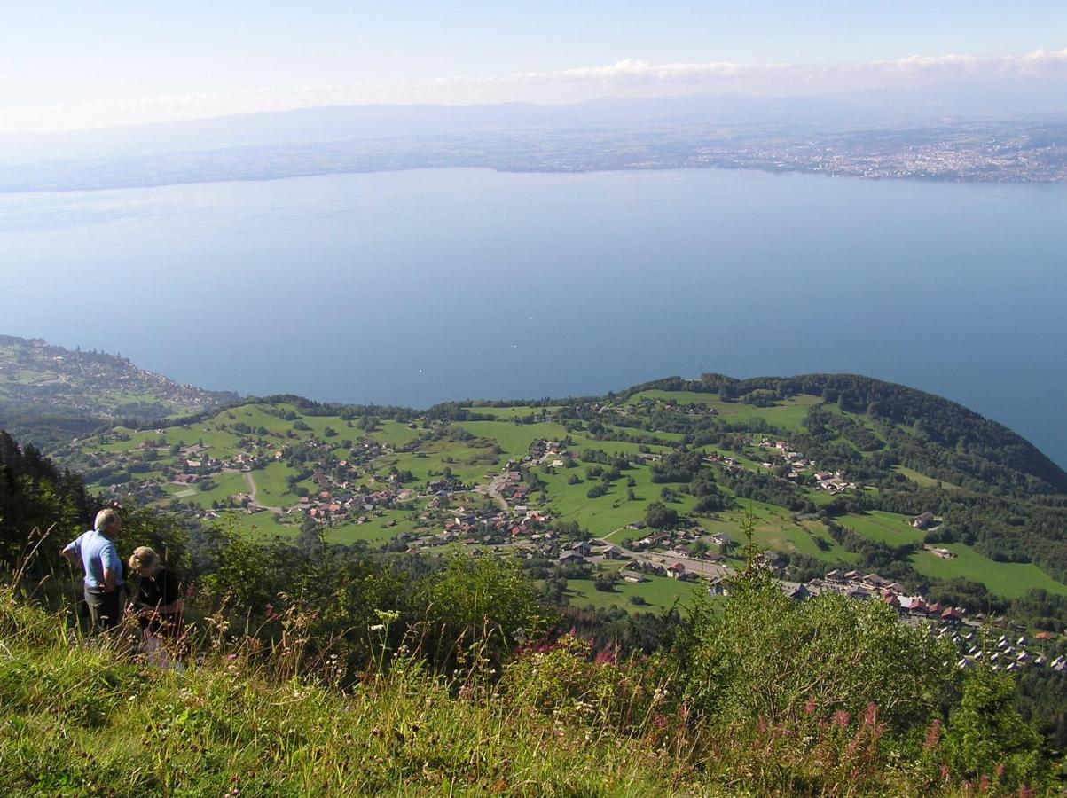 Appartement T2 A Bernex Avec Wifi, Vue Sur Montagne エクステリア 写真